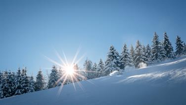 Image for: Vormittagskarte Brauneck